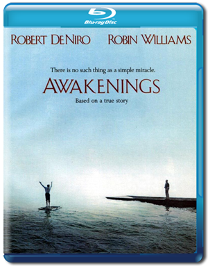 Пробуждение / Awakenings [BDRip-AVC]