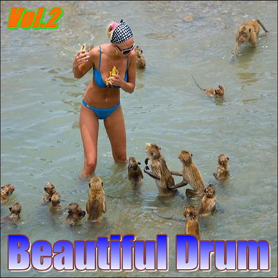 Beautiful Drum Vol.2